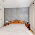 شاليه Maentyhovi